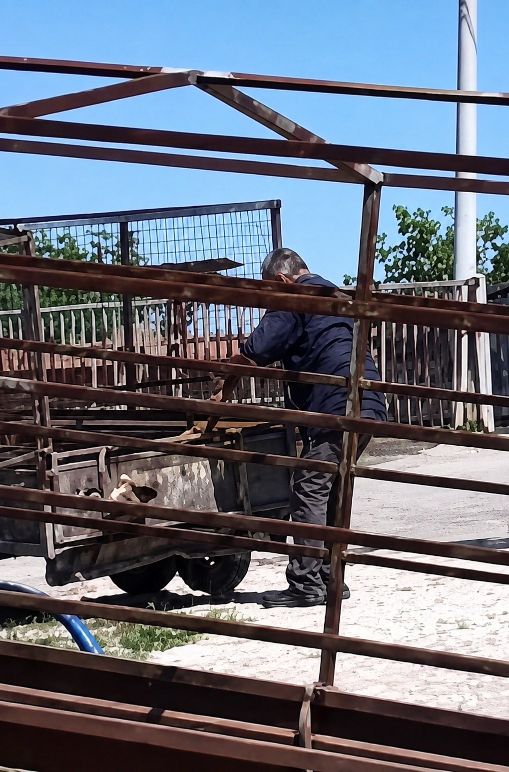 Šest meseci elektronskog nadzora i novčana kazna za usmrćivanje psa
